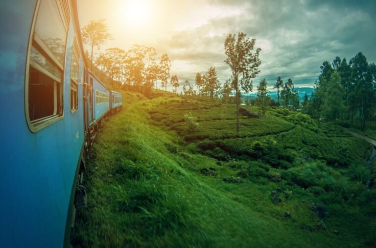 train in Shri Lanka with sunset